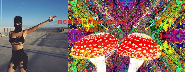 бошки Армянск