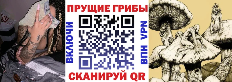 blacksprut онион  Муром  Галлюциногенные грибы Magic Shrooms 
